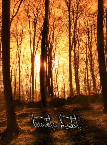 As Light Becomes Shadow : Verendetes Licht